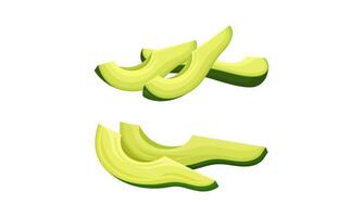 Sliced Avocado or Alligator Pear as Large Edible Berry with Seed Set vector