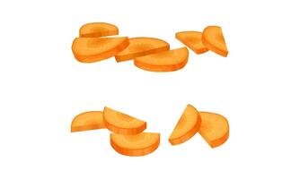 Sliced Carrot as Orange Root Vegetable Set vector
