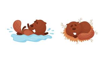Funny Beaver Character with Flat Tail Sleeping in Nest and Swimming in Water Set vector