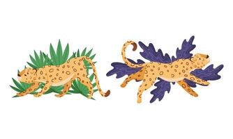 Spotted Leopard or Jaguar with Yellow Skin Lying and Stretching in Tropical Leaves Set vector