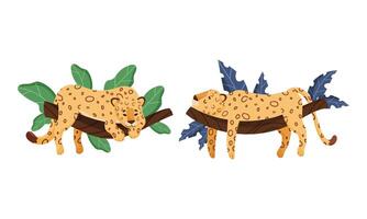 Spotted Leopard or Jaguar with Yellow Skin Lying on Tree Branch with Tropical Leaves Set vector