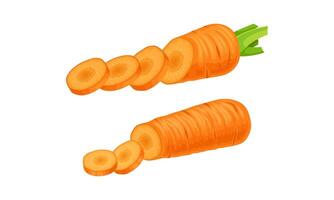 Carrot as Orange Root Vegetable in Slices Set vector
