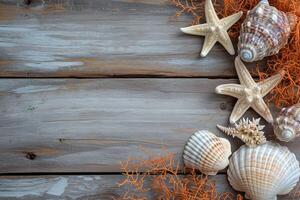 Seashells and starfish on wooden background photo