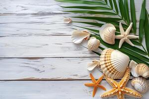 Tropical palm leafs and seashells photo