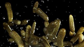 Pickled cucumbers fly up and fall down. Filmed on a high-speed camera at 1000 fps. High quality FullHD footage video