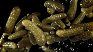 Pickled cucumbers fly up and fall down. Filmed on a high-speed camera at 1000 fps. High quality FullHD footage video