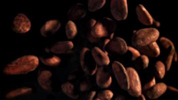Cocoa beans fly up and fall down. Filmed on a high-speed camera at 1000 fps. High quality FullHD footage video