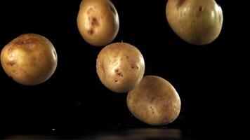 Potatoes fall on the table. Filmed on a high-speed camera at 1000 fps. High quality FullHD footage video