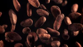 Cocoa beans fly up and fall down. Filmed on a high-speed camera at 1000 fps. High quality FullHD footage video