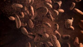 Cocoa beans fly up and fall down. Filmed on a high-speed camera at 1000 fps. High quality FullHD footage video