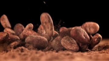 Cocoa beans fall on the table. Filmed on a high-speed camera at 1000 fps. High quality FullHD footage video