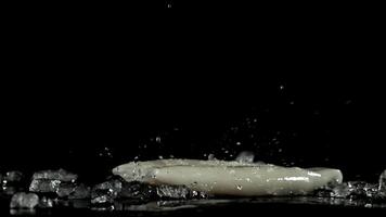 Squid fall on a wet table. Filmed on a high-speed camera at 1000 fps. High quality FullHD footage video