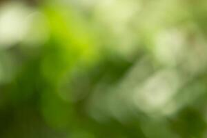 Abstract green blur background. May be use for presentations, creative marketing visuals. photo