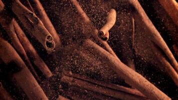Cinnamon sticks fly up and down. Filmed on a high-speed camera at 1000 fps. High quality FullHD footage video