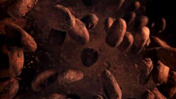 Cocoa beans fly up and fall down. Filmed on a high-speed camera at 1000 fps. High quality FullHD footage video