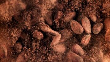 Cocoa beans fall on cocoa powder. Filmed on a high-speed camera at 1000 fps. High quality FullHD footage video