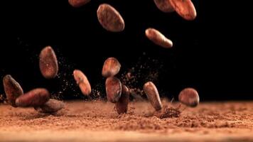 Cocoa beans fall on cocoa powder. Filmed on a high-speed camera at 1000 fps. High quality FullHD footage video