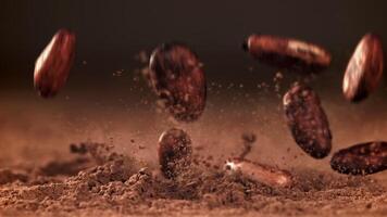 Cocoa beans fall on cocoa powder. Filmed on a high-speed camera at 1000 fps. High quality FullHD footage video