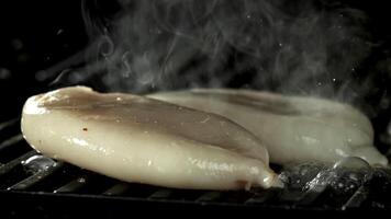 The squid carcass is fried in a pan. Filmed on a high-speed camera at 1000 fps. High quality FullHD footage video