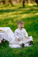 A small boy is sitting on a blanket in the grass and crying softly photo