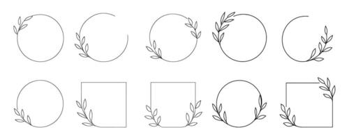 Minimal Botanical Line Art Frame Set with Circular, Semi-Circular, and Square Shapes vector