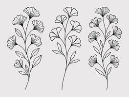 Minimal Botanical Line Art of Ginkgo Flower Stems with Leaves and Petals in Black Outline vector