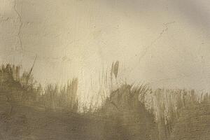 A wall with a brownish color and some white spots. The wall is covered with some kind of paint photo