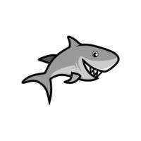 A cute and simple cartoon illustration of a shark. The shark is gray with a lighter gray underbelly and white teeth outlined in black. vector