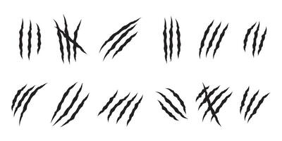 animal Claw scratches mark set. Cat tiger scratches paw shape. Intricate claw silhouettes, Cracks form animal claw scratches, wild beast paw marks with sharp fissures texture, vector