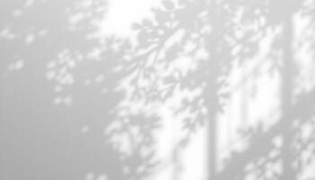 Subtle Light and Shadow A grayscale image showcasing the delicate shadows of tree branches and leaves cast on a wall, creating a serene and calming atmosphere. photo