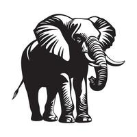 Large african elephant standing Image isolated on white background vector
