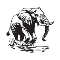 Elephant Trunk Water Image isolated on white background vector
