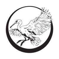 Black and white urasian Spoonbill Illustration Stock Image isolated on white background vector