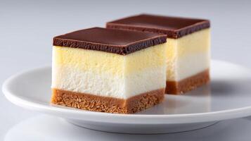 Three Layered Chocolate Delight A Scrumptious Dessert photo