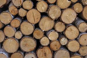 Wood logs neatly stacked for storage and future use in construction or woodworking projects photo