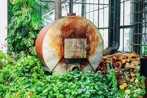 Rusty heating container surrounded by lush greenery in a vibrant greenhouse setting photo