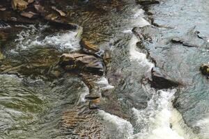 Flowing river water cascades over rocks in a serene natural setting during daylight hours photo