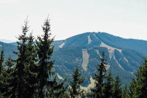 Mountain landscape with ski slopes and pine trees in sunny weather photo
