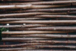 Wooden sticks arranged in a pattern on a surface in a natural setting during daytime photo