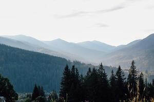 Mountain landscape with trees and mist during early morning in serene environment photo