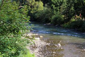 Calm river flows through lush greenery in a serene natural setting photo