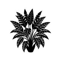 Tropical Jungle Plant Design vector