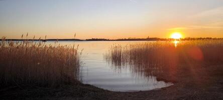 Sunset over the lake with silhouette of reeds. Golden hour, reflection in water, calm evening photo