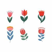 spring flower set illustration on white background vector