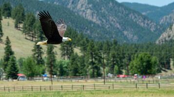 Majestic Bald Eagle in Flight Over Mountainous Landscape photo