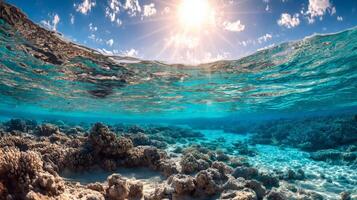 Vibrant Underwater Coral Reef Scene with Sunlight photo