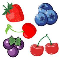 Fresh and Colorful Berries Set Featuring Strawberry, Cherry, Blueberry, and Grape vector