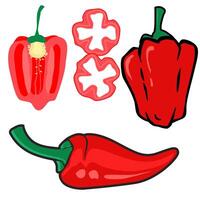 Illustrative depiction of red bell peppers and a chili pepper in various forms vector