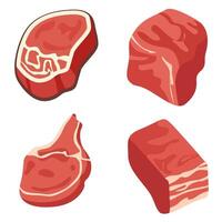 Assorted Pork Cuts for Culinary and Butchery Use vector