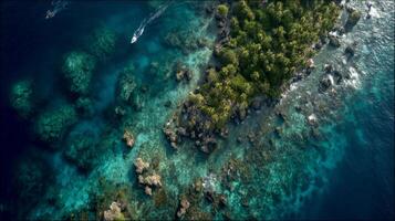 Aerial View of Vibrant Coral Reef and Tropical Fish in Turquoise Water photo